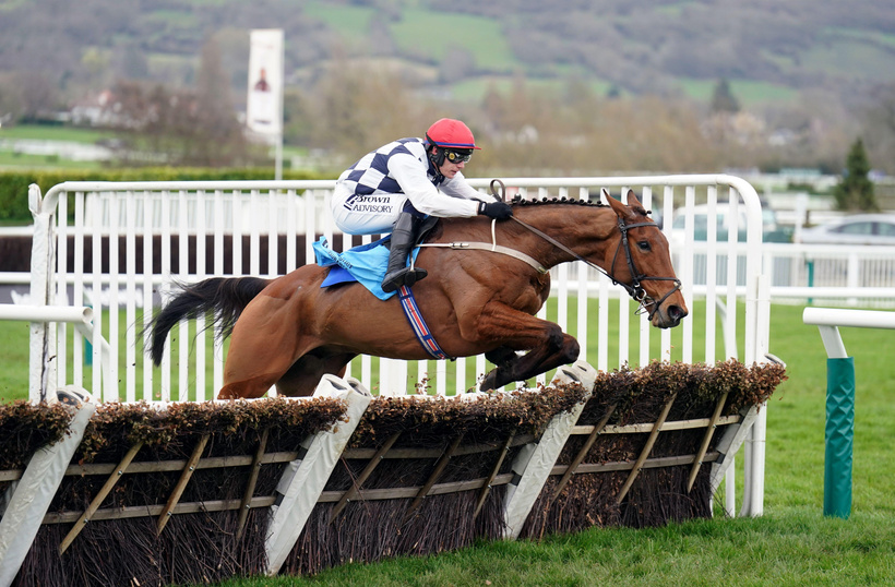 Owner Betting Patterns In Horse Racing