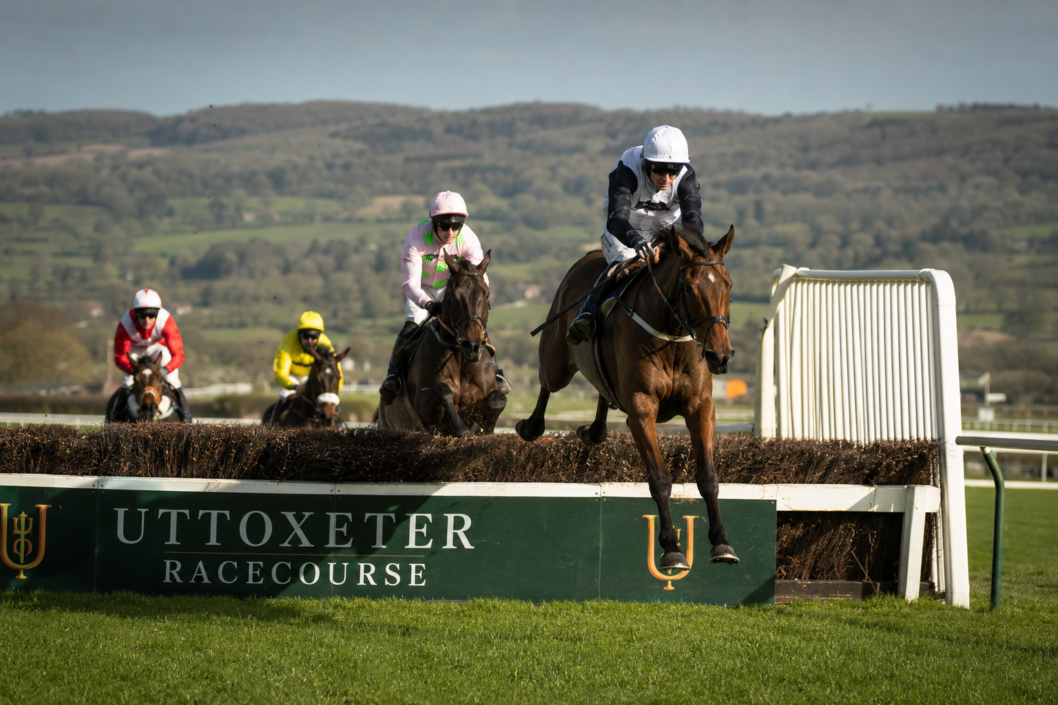 New Feature: Horse Tracker Email Alerts Are Now Live