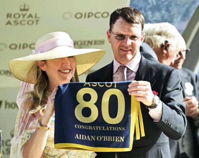 Trainer Betting Patterns In Horse Racing