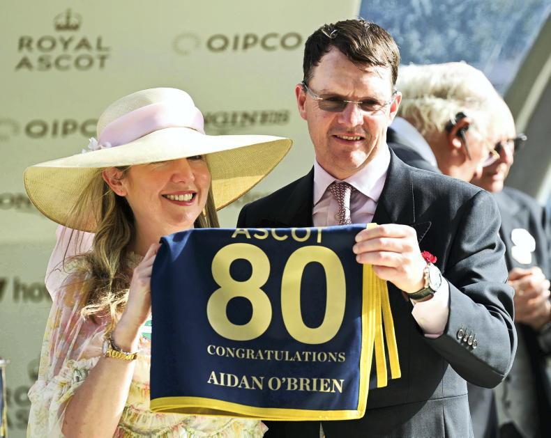 Trainer Betting Patterns In Horse Racing