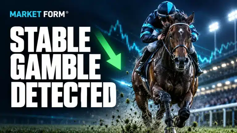 Serious Stable Gamble Detected: Kaito Backed by 28.0pp at Southwell (AW)